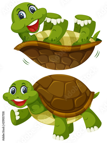 A set of happy turtle