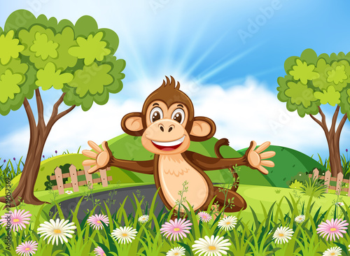 Monkey in beautiful nature