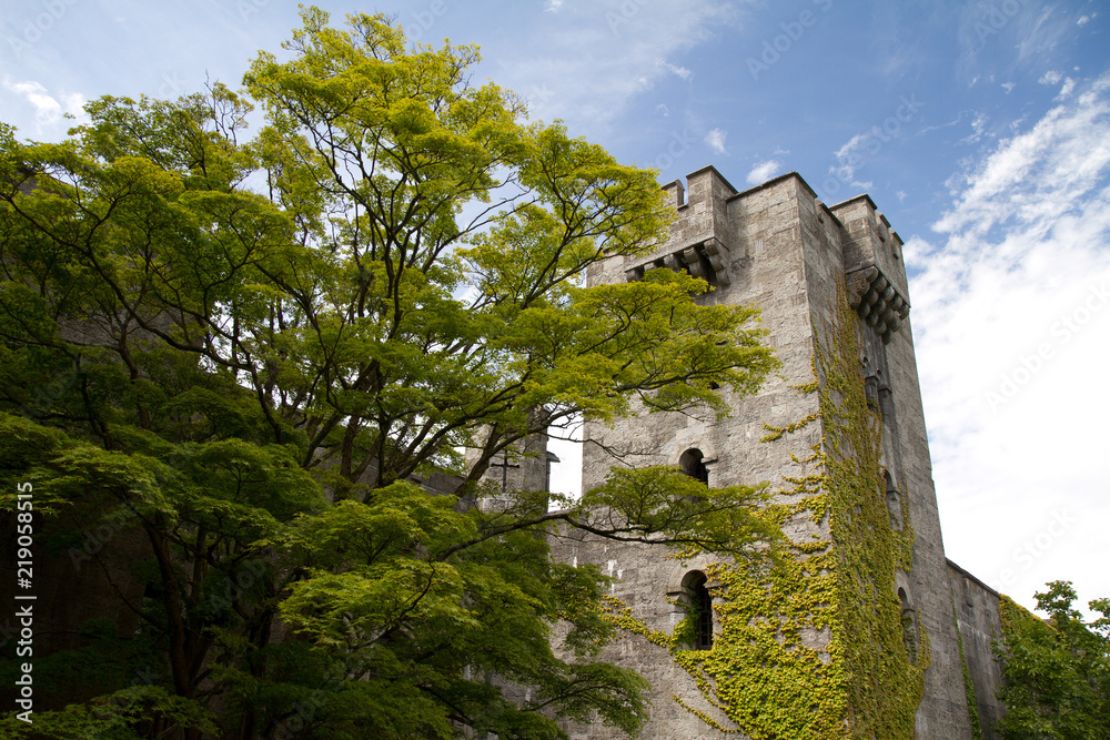 Castle Rampart and Tree Castle Rampart and Tree