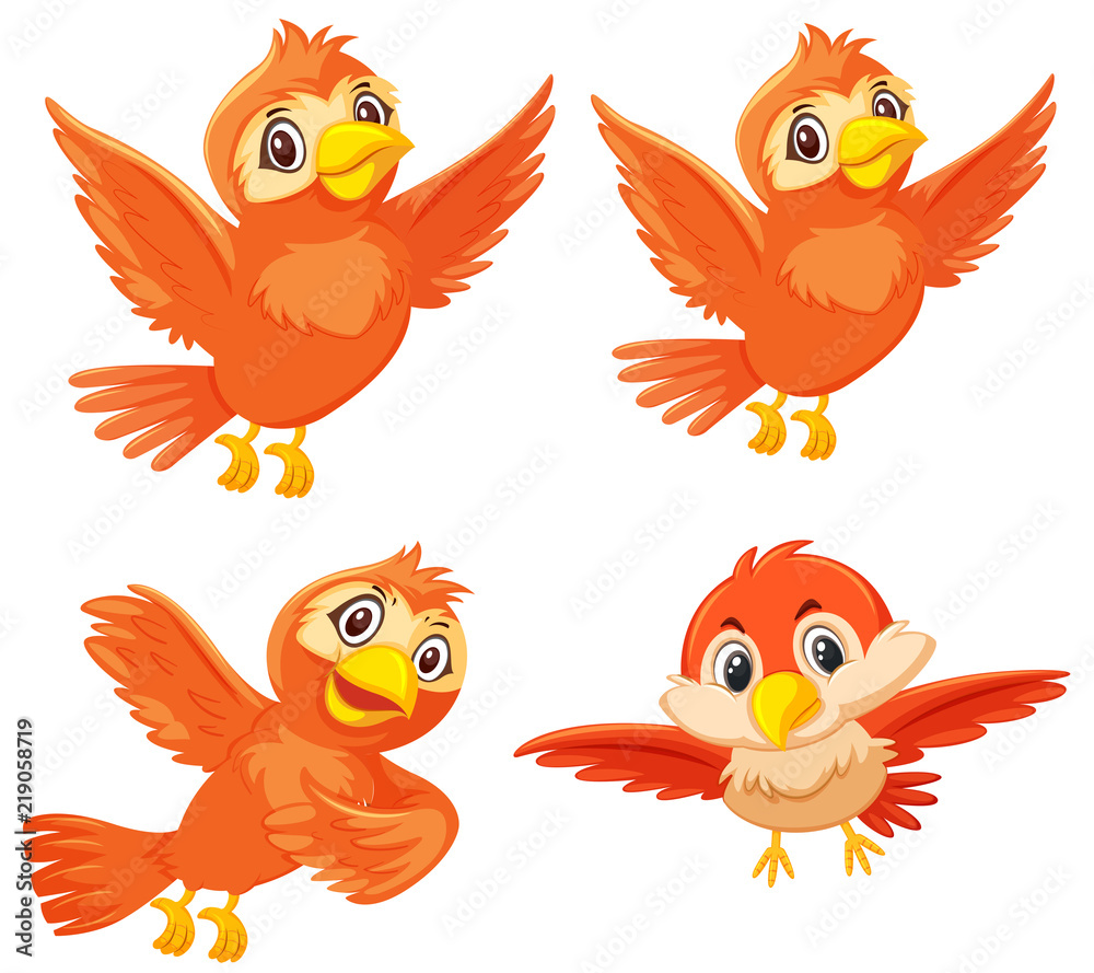 Set of cute orange birds Set of cute orange birds