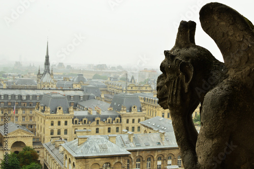 Notre Dame Gargoyle © Eduardo