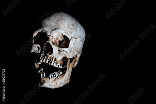 Human skeleton skull head isolated on black