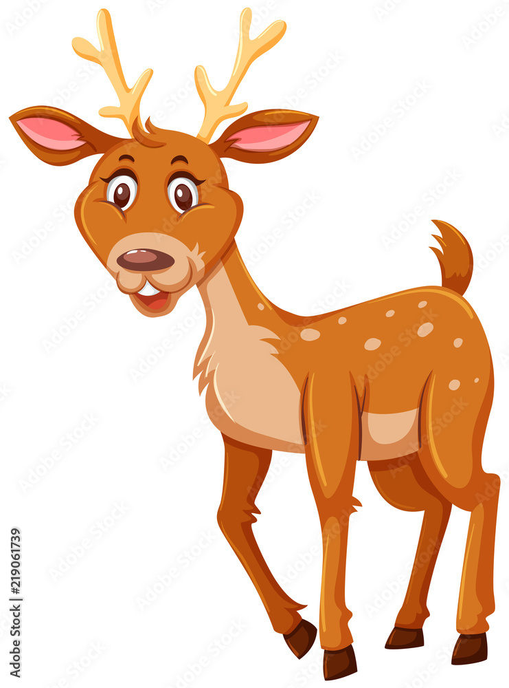 Fototapeta premium A cute deer on white background