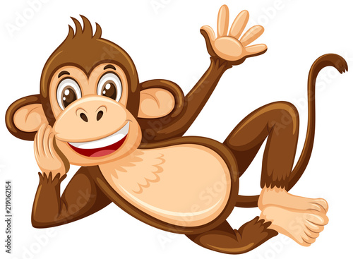 A cute monkey on white background