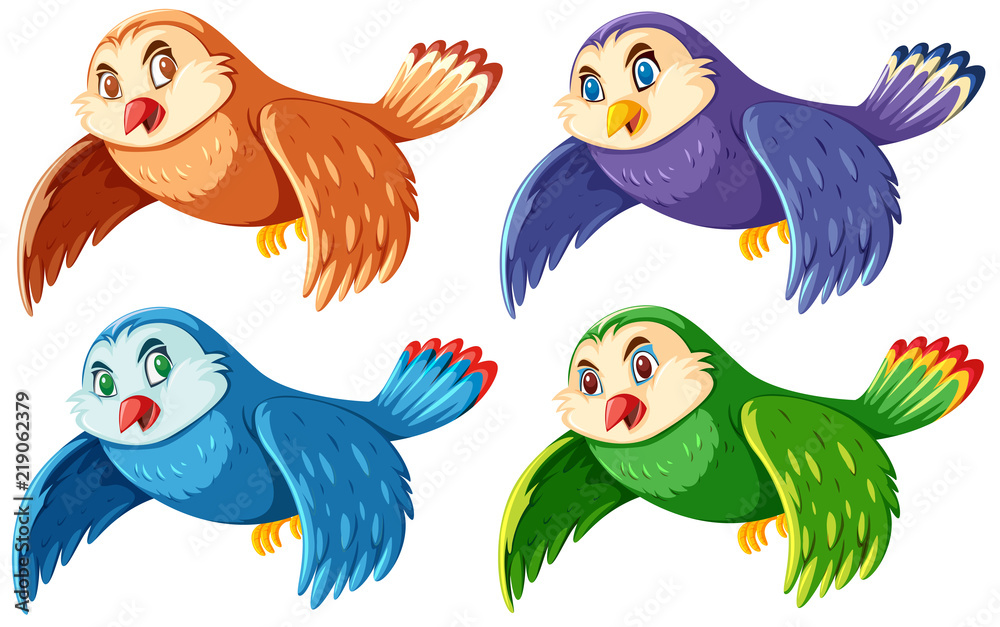 Set of colorful cute owls Set of colorful cute owls
