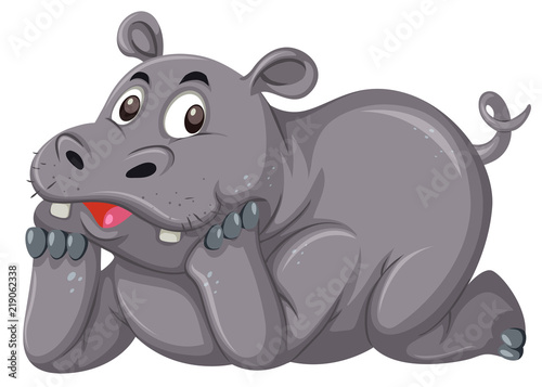 Cute hippo on white background