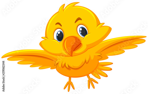 A cute yellow bird