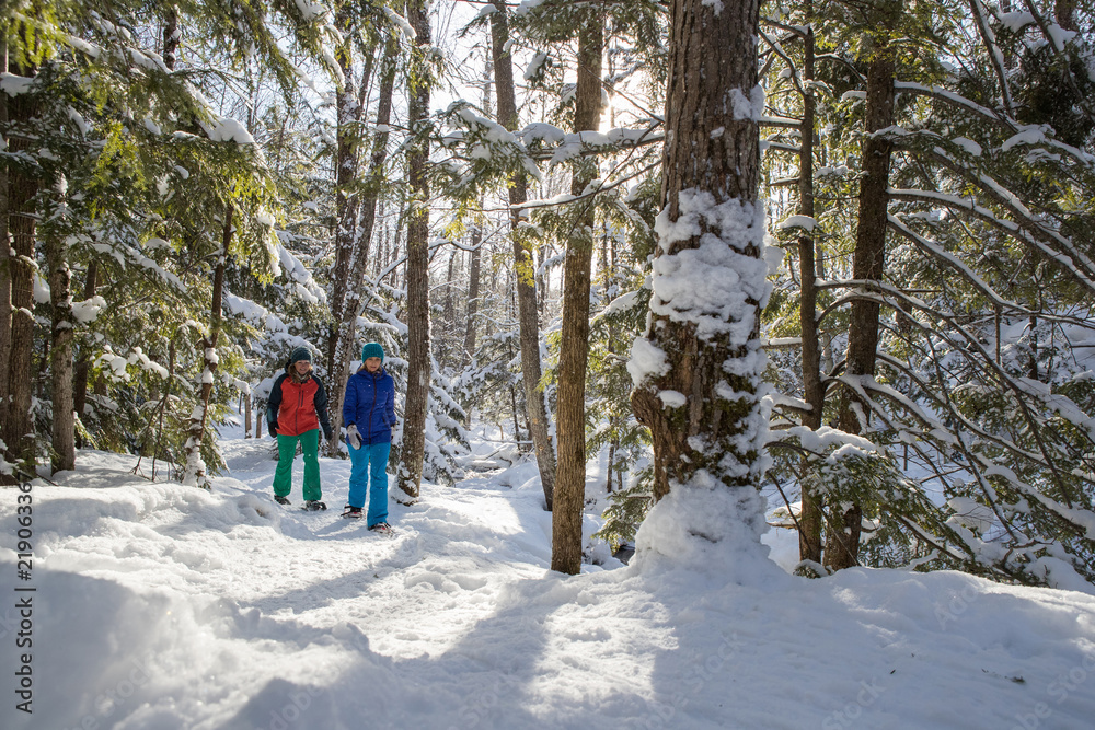 Naklejka premium Pair of female friends snowshoeing in forest.