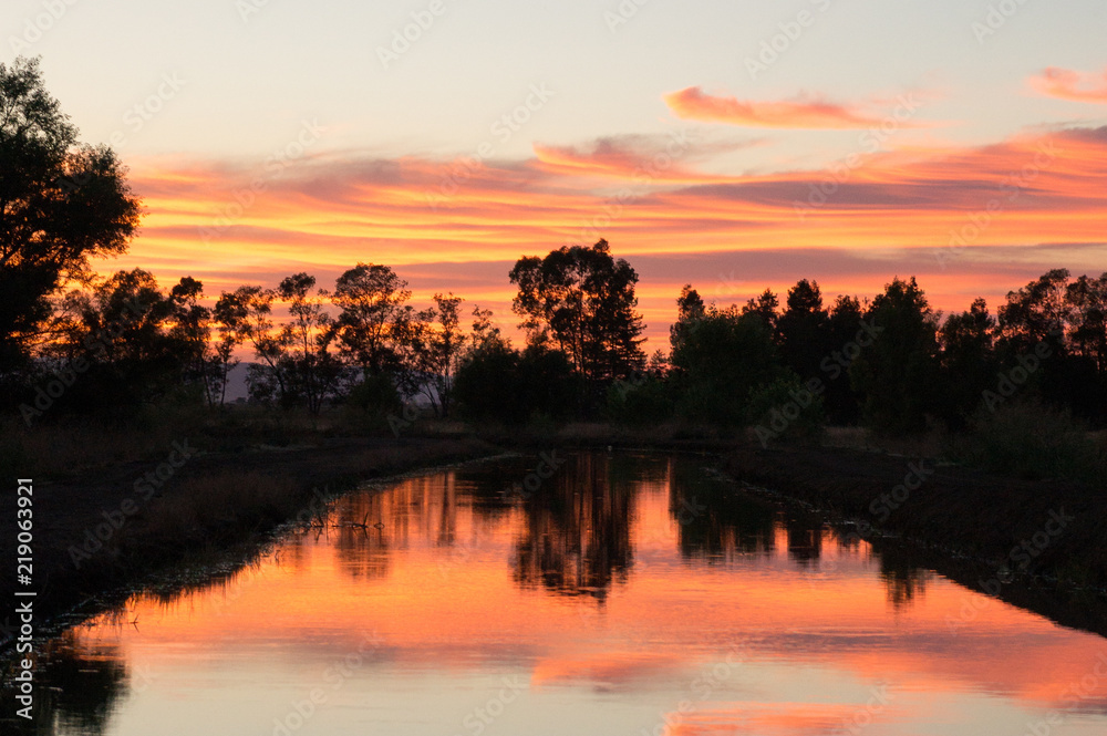 Scenery trees silhouette on river sunset