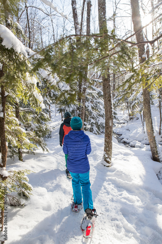 Pair of female friends snowshoeing in forest.
