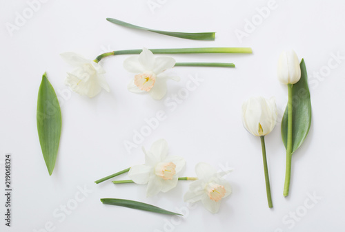spring flowers on white background
