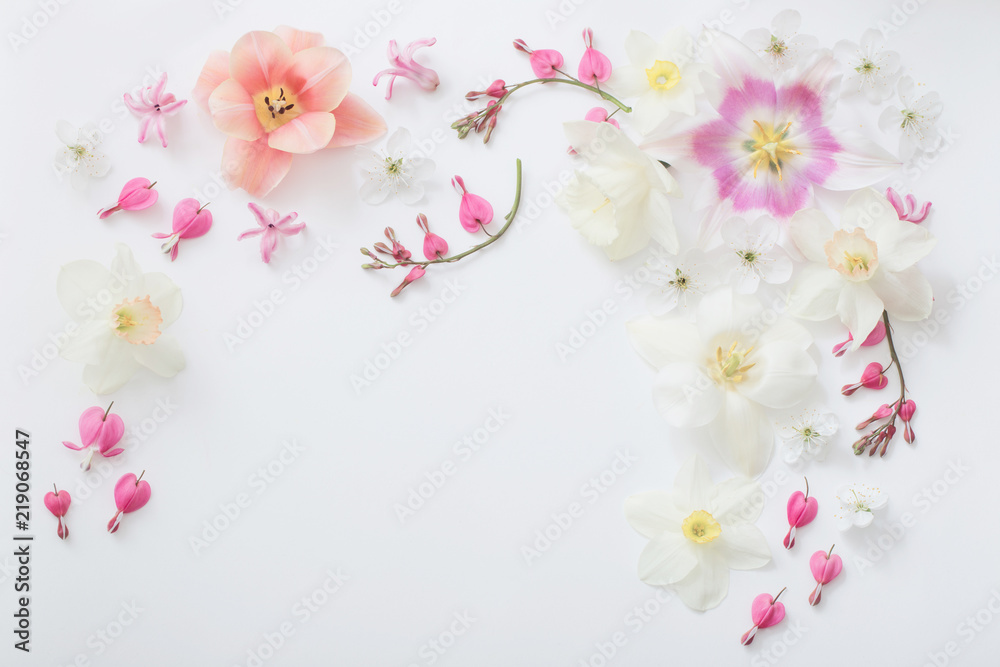 spring flowers on white background spring flowers on white background