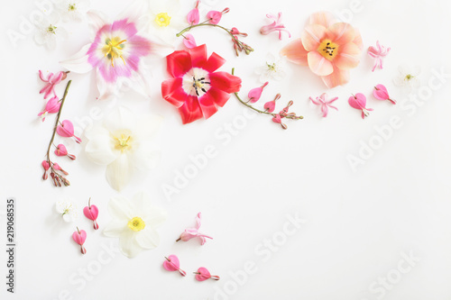 spring flowers on white background © Maya Kruchancova