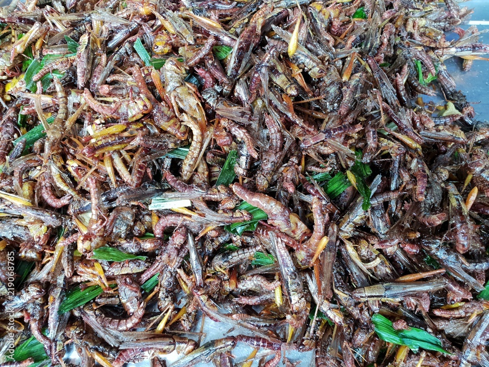 Top view of fried grasshoppers for snack on sale in street food at Thailand, the popular street food snack Top view of fried grasshoppers for snack on sale in street food at Thailand, the popular street food snack