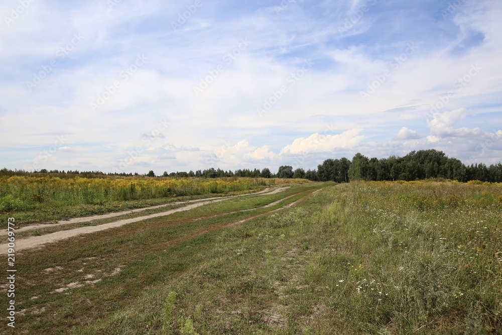 Rural landscape in August.
