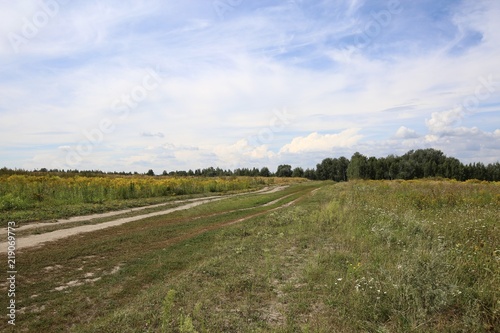 Rural landscape in August. 