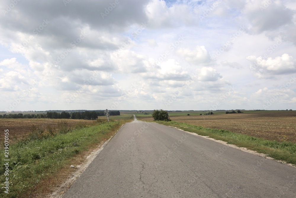 Asphalt road among the fields.