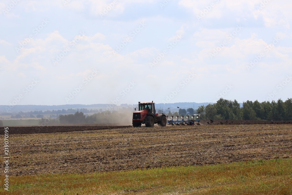Fototapeta premium The tractor is working in the field. 