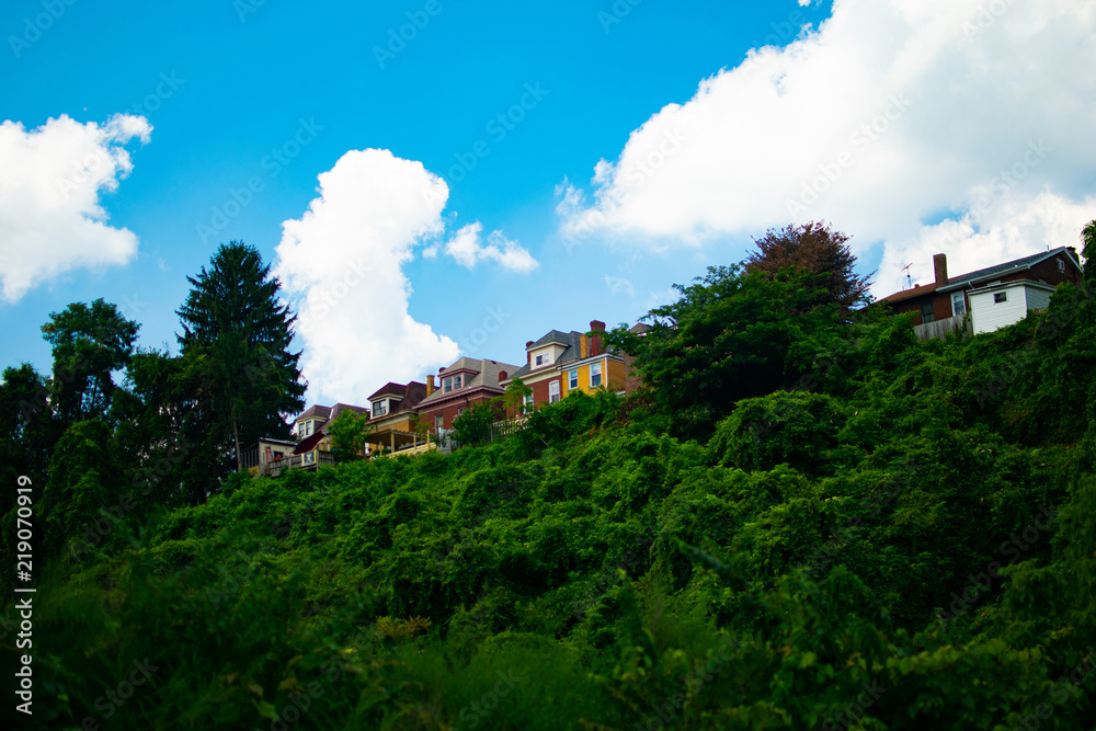 Houses on Overgrown Hill