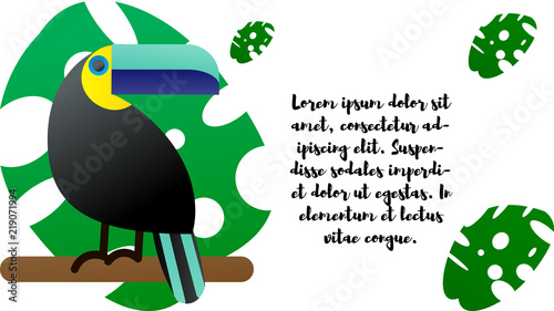 Design template. Toucan and tropical leaves of monstera