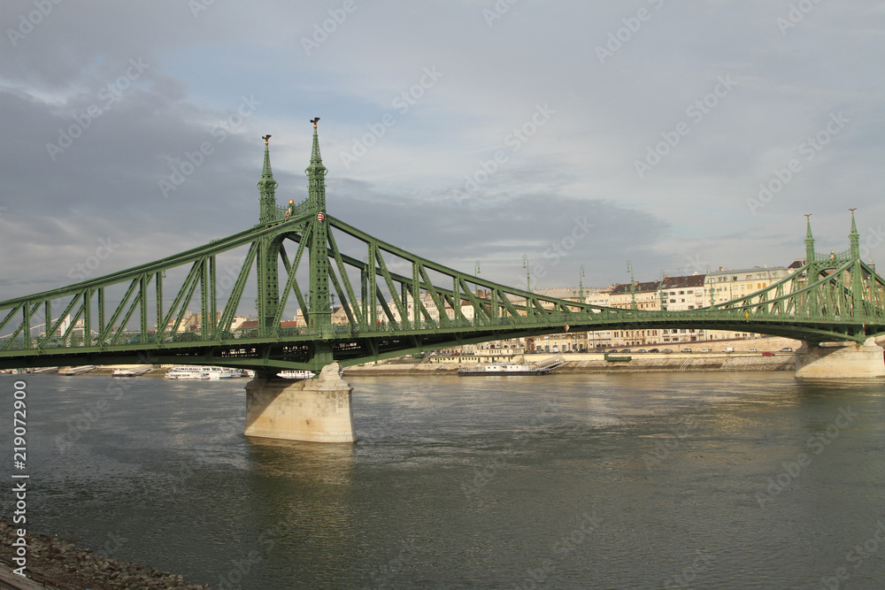 Fototapeta premium Liberty Bridge in Budapest Hungary