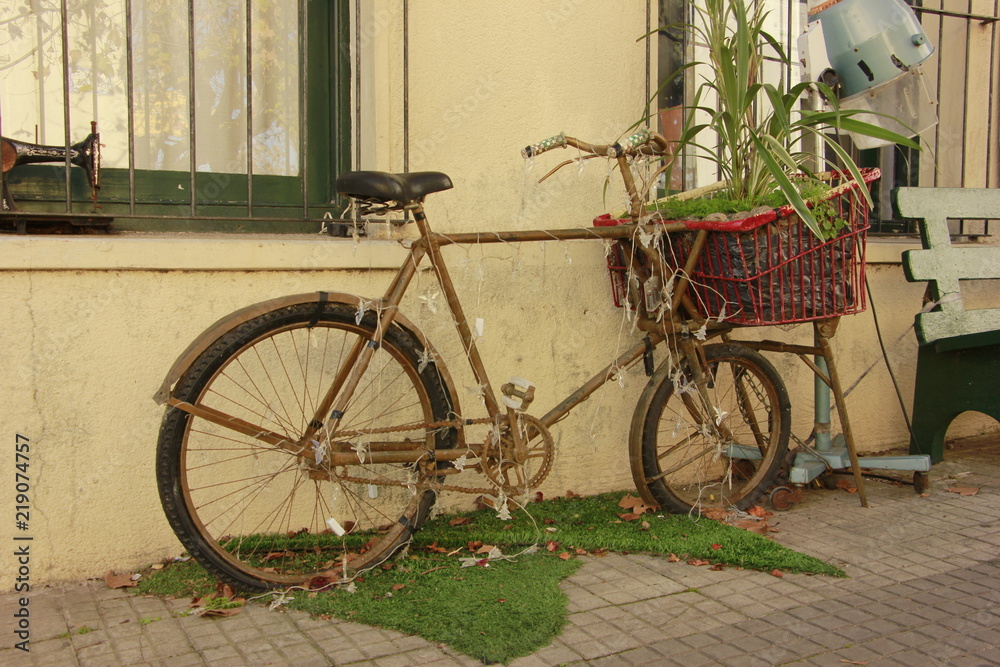 Bike Natural