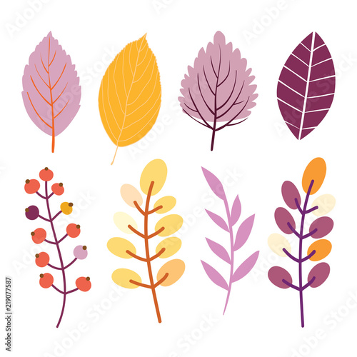 Autumn vector leaves set