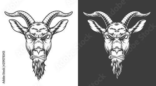 Photo Monochrome goat icon