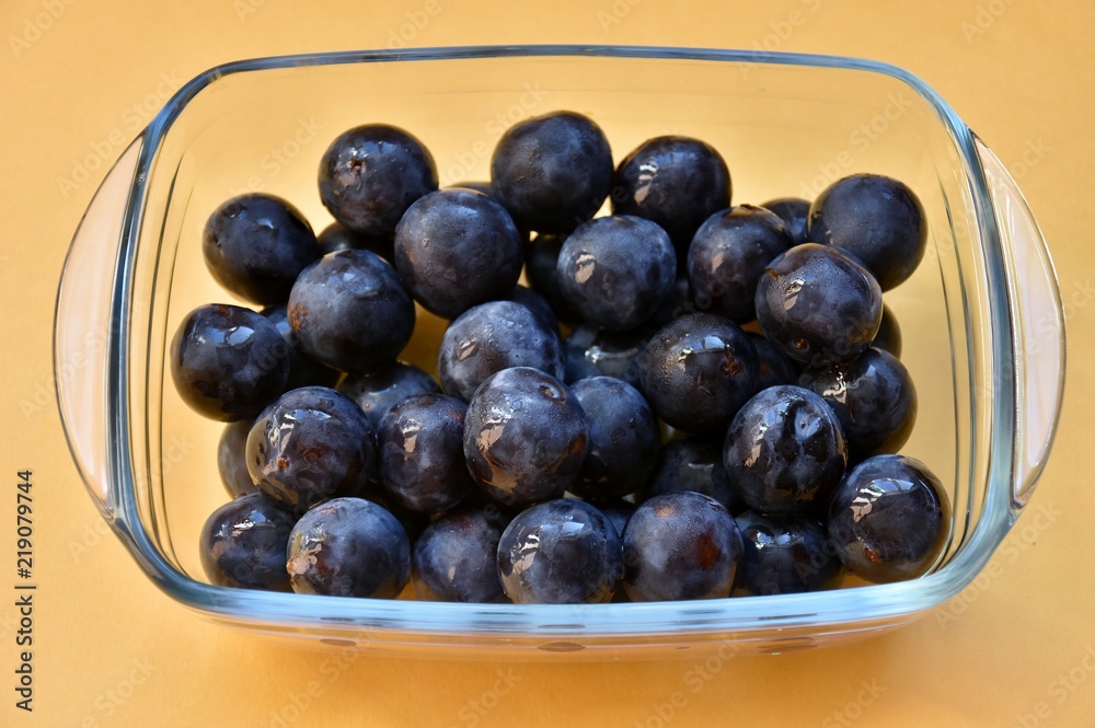 plum plum