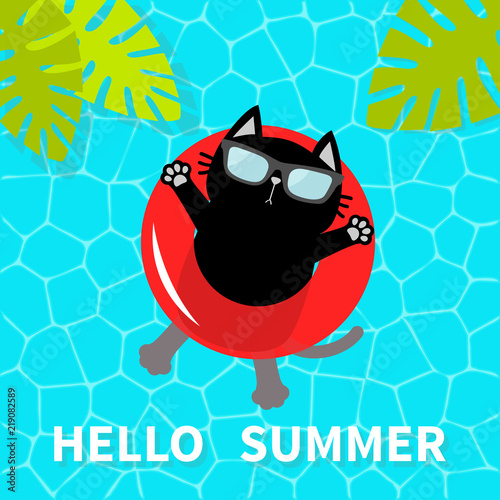Hello Summer. Swimming pool water. Black cat floating on red pool float water circle. Top air view. Sunglasses. Lifebuoy. Palm tree leaf. Cute cartoon relaxing character. Flat design.