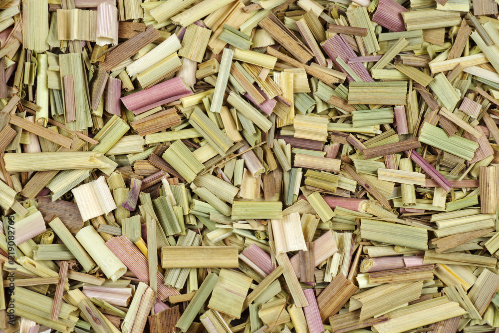 Fototapeta premium Chopped dried lemongrass isolated on white background