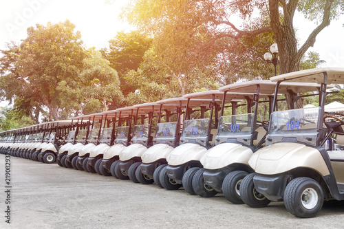 Tableau sur toile a roll of golf cart