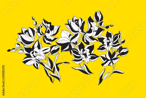 Decorative orchid flowers d...