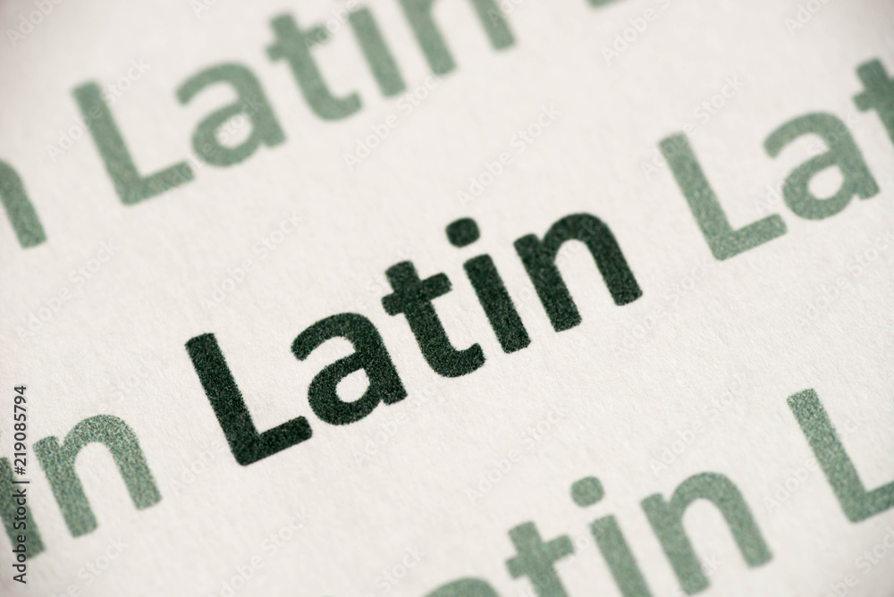 word Latin language printed on paper macro word Latin language printed on paper macro