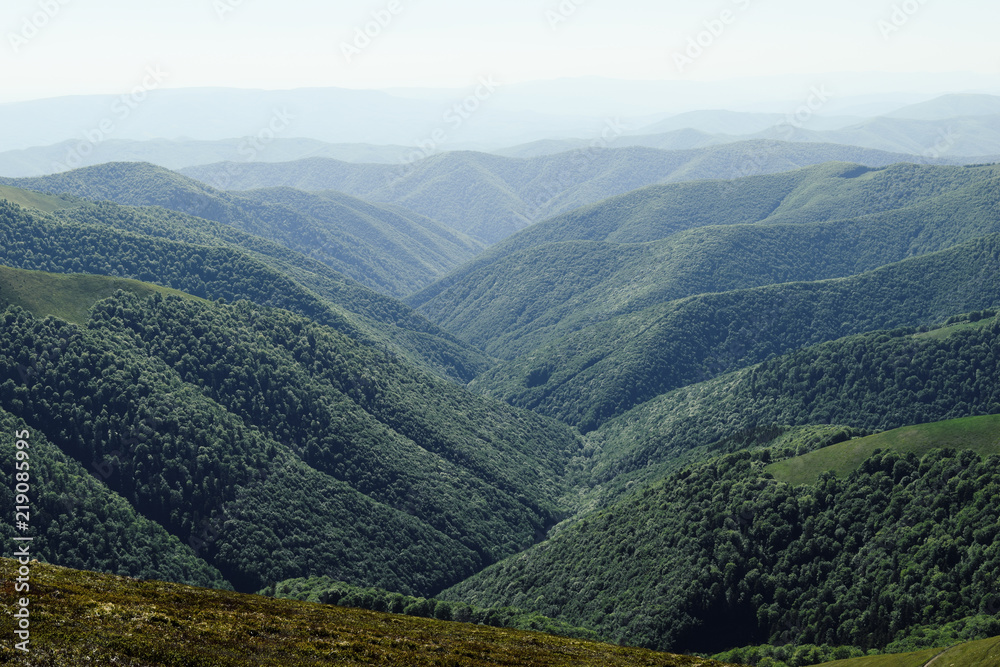Carpathians, Forest, Mountain