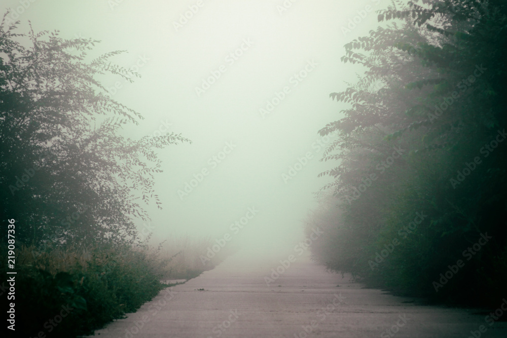 Obraz premium Mystical fog on a country road