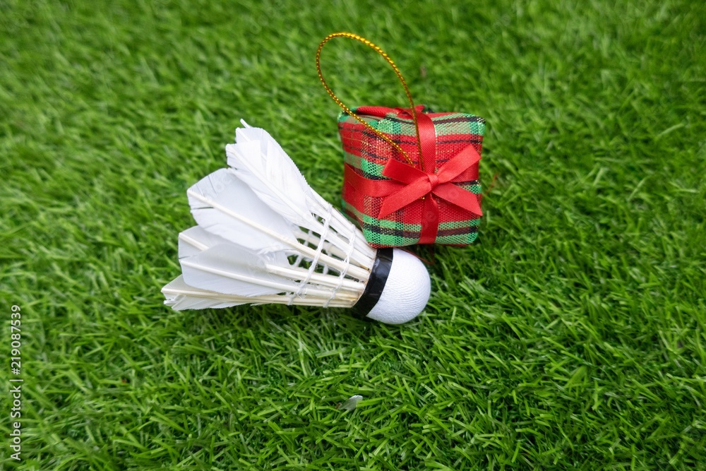Merry Christmas to Badminton player with shuttlecock on green grass Stock  Photo | Adobe Stock