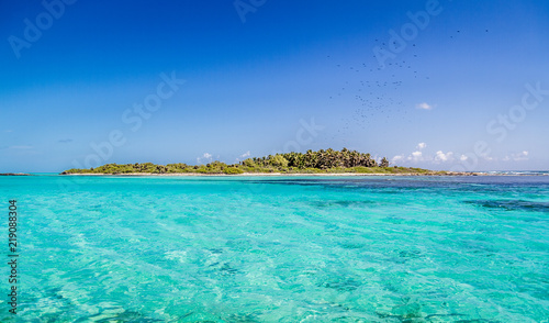 Contoy Island in Mexican Caribbean Sea photo