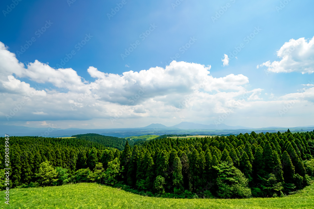 Obraz premium ヒゴタイ公園 阿蘇五岳