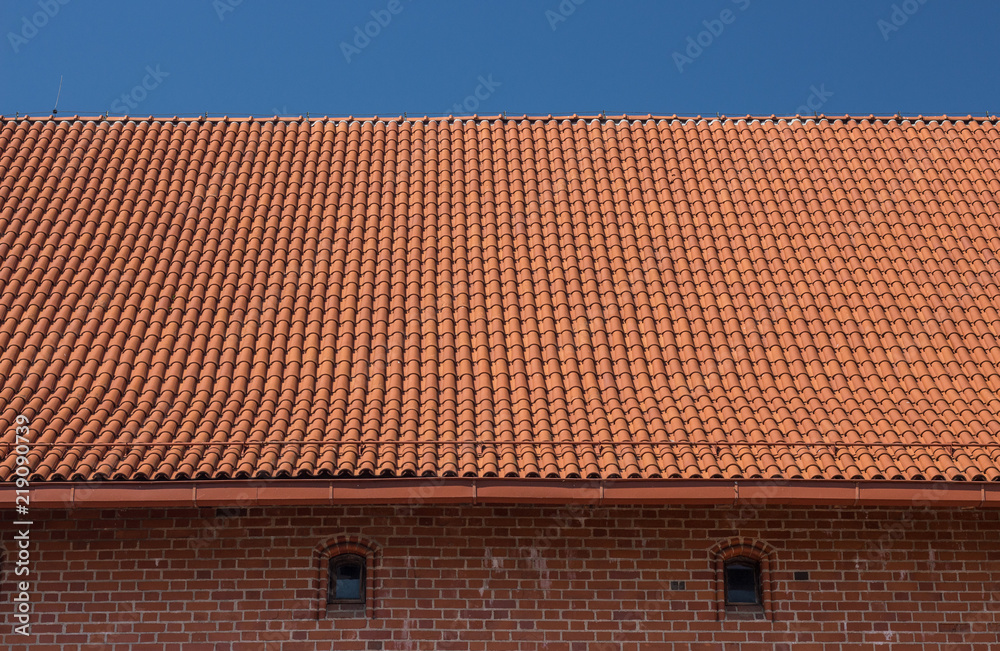 Fototapeta premium Tiles on old castle roof, architecture background.