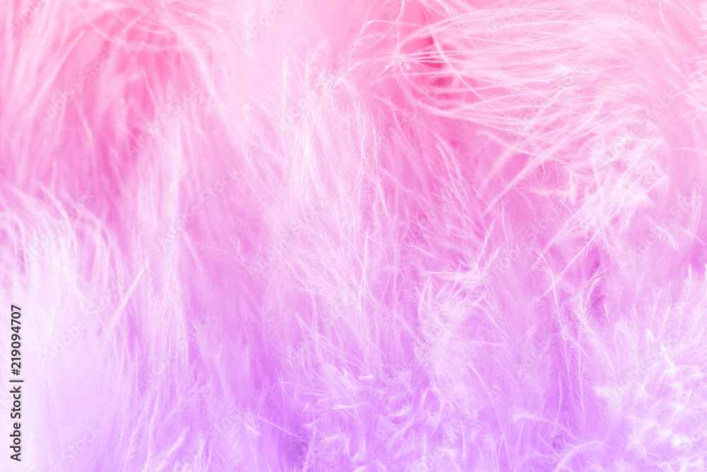 Macro shot of pink bird fluffy feathers in soft and blur style Macro shot of pink bird fluffy feathers in soft and blur style