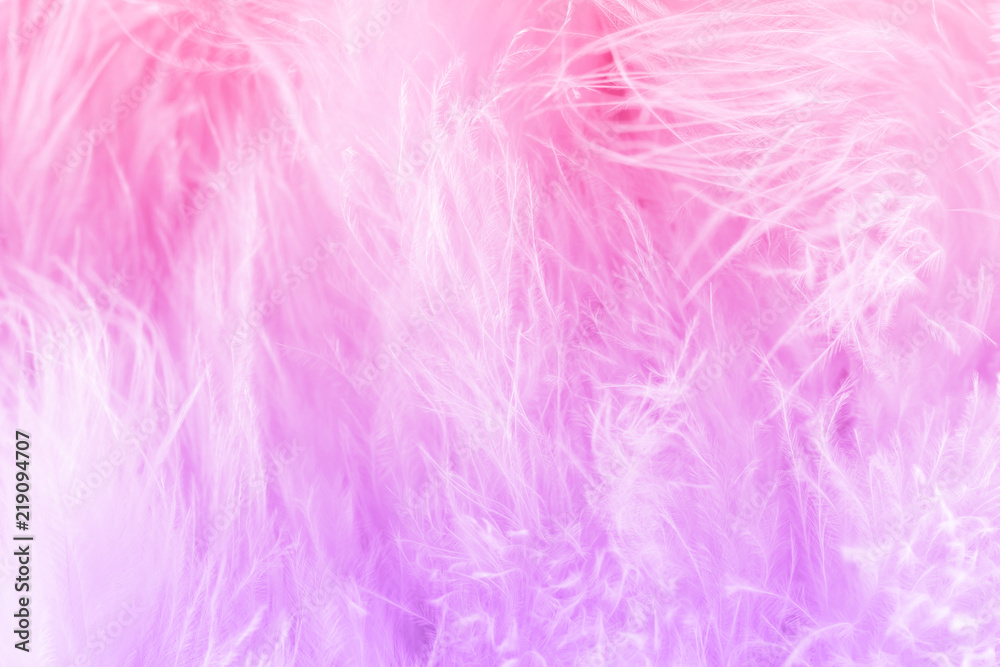 Macro shot of pink bird fluffy feathers in soft and blur style