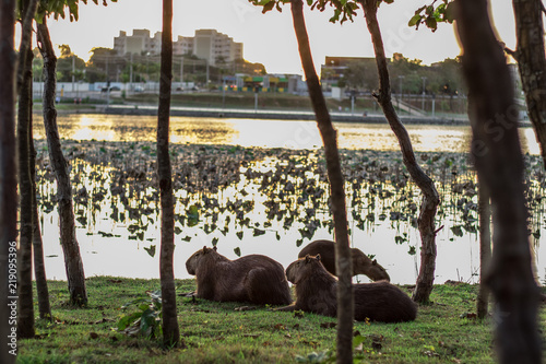 Parque das águas Cuiabá