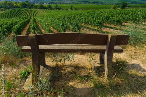 Sitzplatz im Wingert mit Blick auf Weinberge in Rheinhessen photo