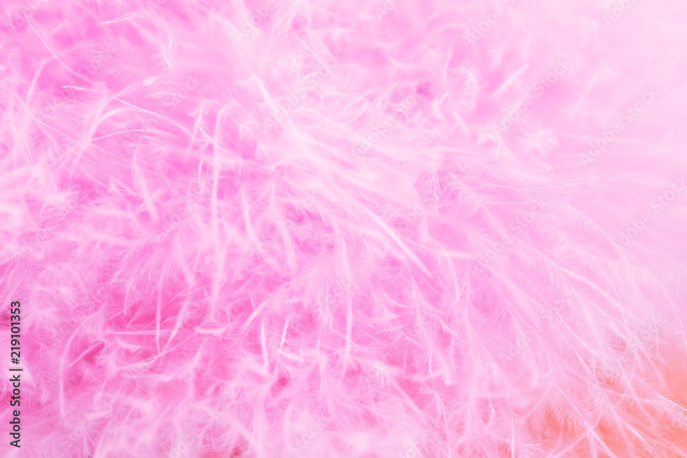 Macro shot of pink bird fluffy feathers in soft and blur style