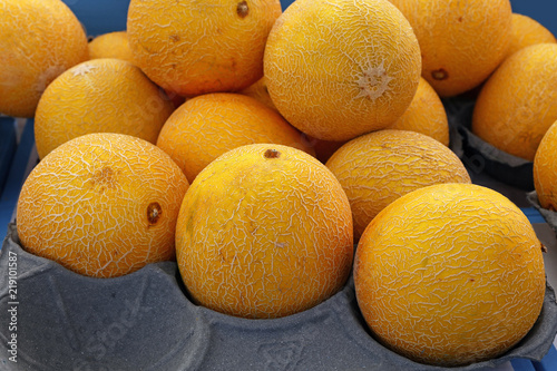 Close up fresh cantaloupe melons on retail display photo