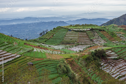 beuatiful landscape from dieng
