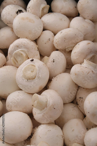 common mushrooms