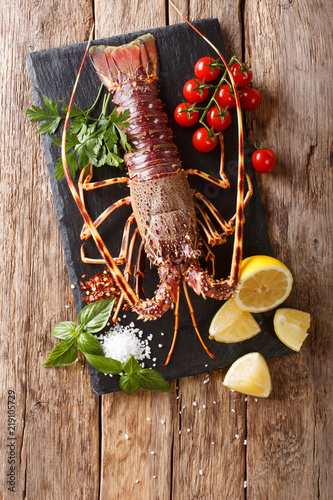 Gourmet food: raw spiny lobster or sea crawfish with ingredients for cooking close up on a table. Vertical top view
