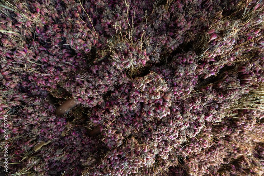Lots of red onion yield in Thailand (Worm’s-eye view) Lots of red onion yield in Thailand (Worm’s-eye view)